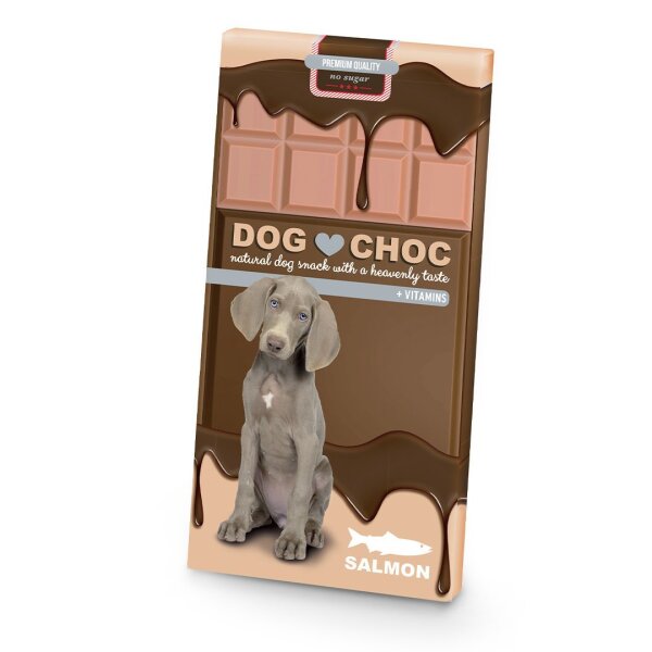 Dog Choc Salmon