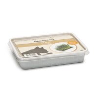 Katzengras