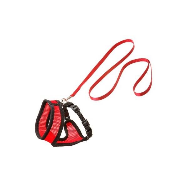 Harness-Set Kitty schwarz/ rot s