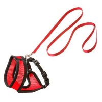 Harness-Set Kitty schwarz/ rot s