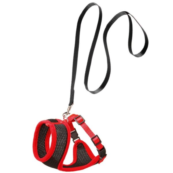 Harness-Set Kitty rot/schw m