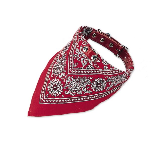 Halsband mit Tuch