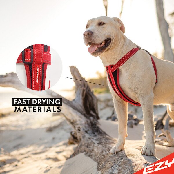 EZY dog ChestPlate Harness