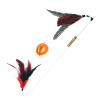 Flattara der Vielseitige im Set gelb 50-100cm