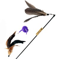 Flattara der Vielseitige im Set gelb 50-100cm