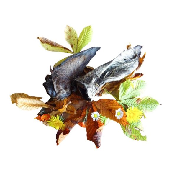 Pferdeloser 3 Stück