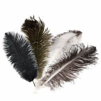 Straussi’s Anhänger  natur