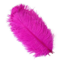 Straussi’s Anhänger  rosa