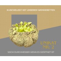 Wendebett Unikat 1-8