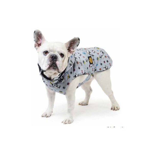 Hundemantel Carlino e Bulldog