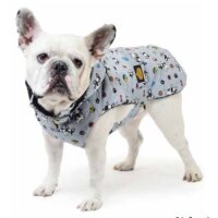 Hundemantel Carlino e Bulldog