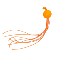 Cat Comet orange