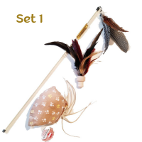 Kitten Paket Set 1