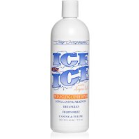 ICE on ICE